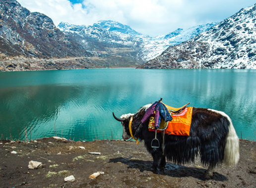 East West North South Sikkim 6N/7D Tour